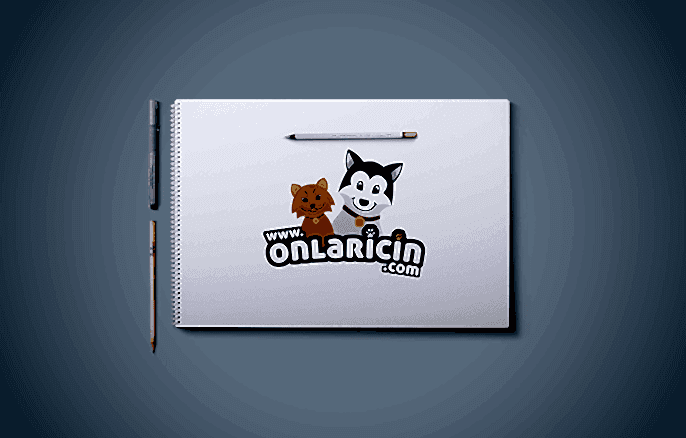 Onlariçin.com
