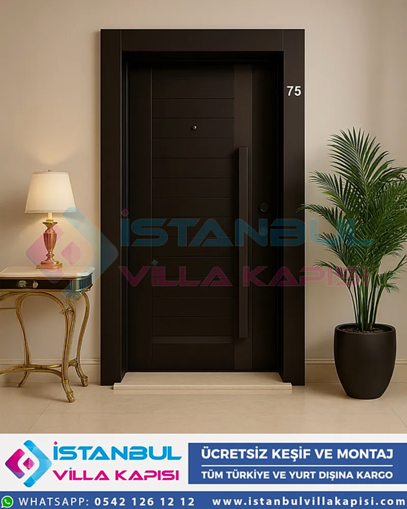 Luxury-ral-8022-celik-kapi